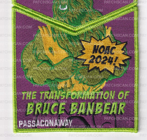 Patch Scan of Passaconaway Lodge NOAC Set