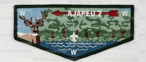 Patch Scan of Ajapeu 2 Flap