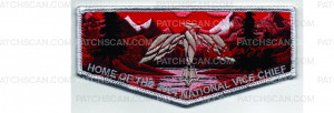 Patch Scan of 2024 National Vice Chief Flap (PO 101868)