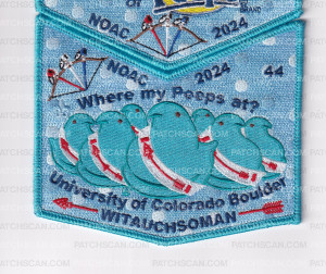 Patch Scan of Minsi Trails Council NOAC Set