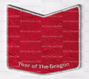 Patch Scan of 173218-Metallic Pocket