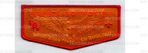 Patch Scan of NOAC 2024 Flap (PO 101970)