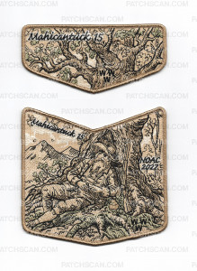 Patch Scan of 194167 - old gold pocket piece