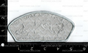 Patch Scan of 173546-2 Bead Ghosted Grey