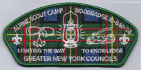 178082-Green Greater New York, The Bronx Council #641