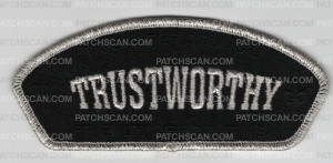 Patch Scan of Tidewater Council FOS 2025 Trustworthy