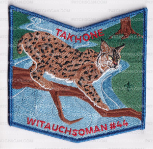 Patch Scan of Witauchsoman Lodge Pocket Patches