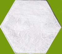 487723 Center patch  Longhouse Council