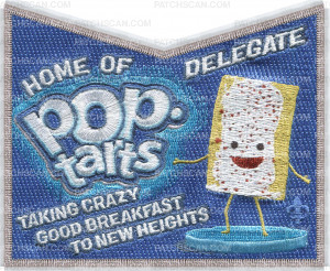 Patch Scan of MISHIGAMI 2024 NOAC POPTART POCKET