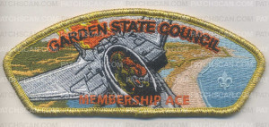 Patch Scan of trex/plane csp 2016-gold border