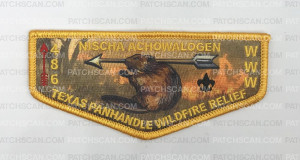 Patch Scan of Nischa Achowalogen Texas Panhandle Wildefire Relieve