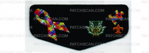 Patch Scan of 2024 NOAC Flap Autism Awareness (PO 101761)