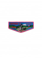 Octoraro 22 Flap Pink 2025 Chester County Council #539