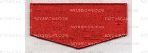 Patch Scan of Princess Anne Flap (PO 101015)