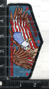 Patch Scan of 176289