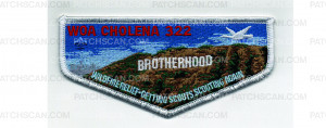 Patch Scan of Wildfire Relief Flap (PO 103175)
