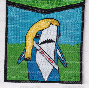 Patch Scan of National Capital Area Council NOAC 2024 Set