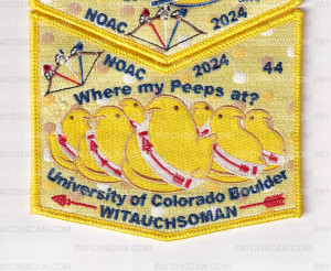 Patch Scan of Minsi Trails Council NOAC Set