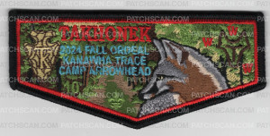 Patch Scan of Takhonek 2024 Fall Ordeal