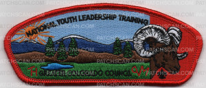 Patch Scan of GCC NYLT PARTICIPANT CSP RED