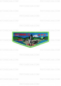 Patch Scan of Octoraro 22 Flap Green 2025