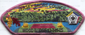 Patch Scan of 477443- Wood Badge 2025