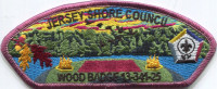 477443- Wood Badge 2025 Jersey Shore Council #341