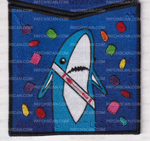 Patch Scan of National Capital Area Council NOAC 2024 Set