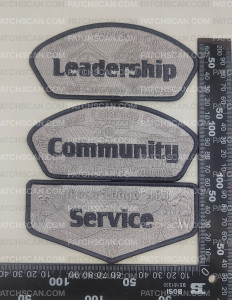 Patch Scan of 172585-CSP Leader