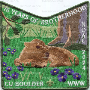 Patch Scan of 469168- 75 years of Brotherhood 