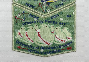 Patch Scan of Minsi Trails Council NOAC Set