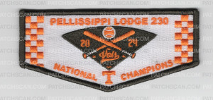 Patch Scan of Pellissippi 230 Vols 2024 National Champions flap