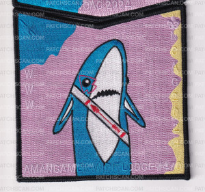 Patch Scan of National Capital Area Council NOAC 2024 Set