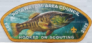 Patch Scan of BASS - FOS 2025