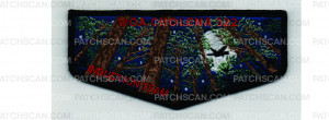 Patch Scan of Induction Team Flap (PO 102621)