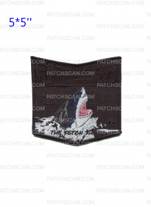 Patch Scan of Achewon Netopalis NOAC 2024 Night (Pocket Piece)