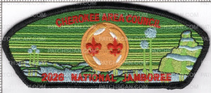 Patch Scan of CAC (OK) CSP Green Jambo 26
