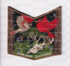 Patch Scan of Nawakwa 2026 Nagatamen Pocket Set