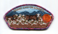Grand Canyon Council 2026 NJ 5 C's JSP rwb bdr Grand Canyon Council #10