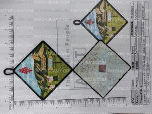 Patch Scan of Artex NOAC Giveaway