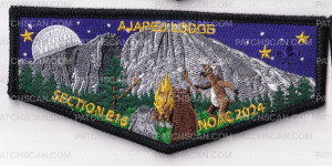 Patch Scan of SECTION E16 NOAC 2024 OA FLAP SET