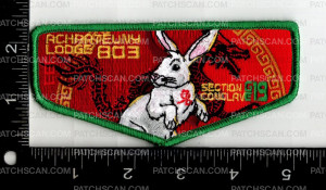 Patch Scan of 163372- Green