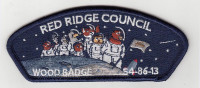 X169565A RED RIDGE COUNCIL WOOD BADGE (fake csp space) ClassB	