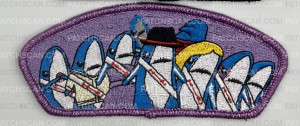 Patch Scan of National Capital Area Council NOAC 2024 CSP