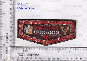Patch Scan of 486133- Echeconnee 358