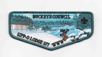 180865 Buckeye Council #436