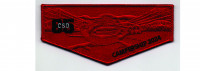 Campership Flap 2024 (PO 102070) Northwest Georgia Council #100