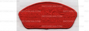 Patch Scan of Wood Badge CSP (PO 100861)