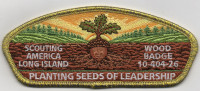 WOOD BADGE CSP LONG ISLAND METALLIC GOLD BORDER Theodore Roosevelt Council #386