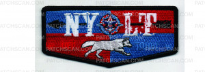 Patch Scan of NYLT Flap (PO 103078)